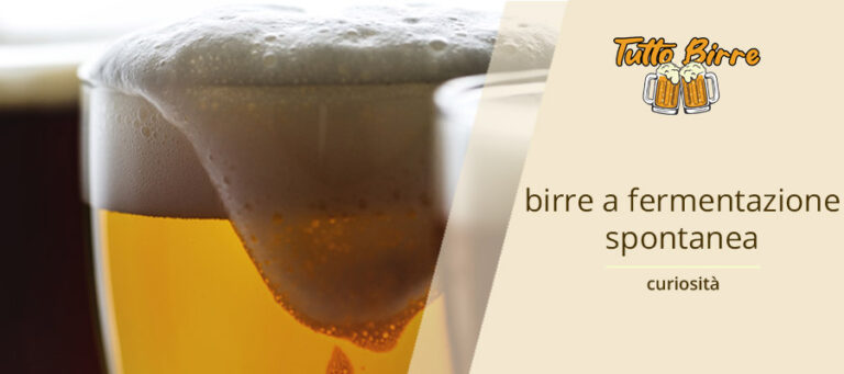 Alla scoperta della birra a fermentazione spontanea – Tutto Birre
